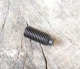 Half Dog Point Screw - 5/16-24 x 3/4" - Used with RPG™️ Stabilizer and Mount